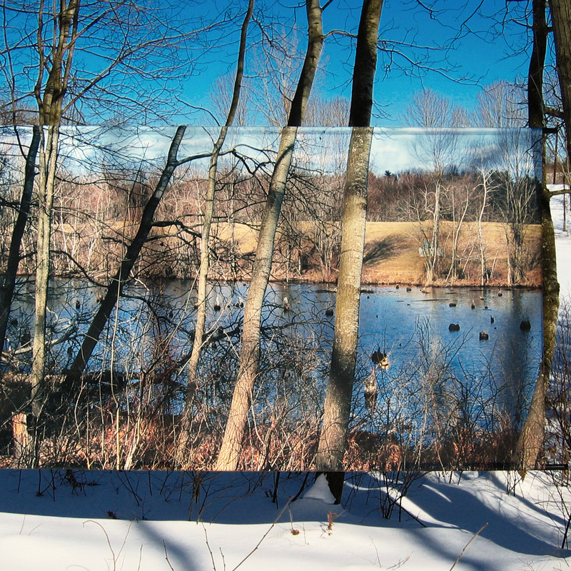 March Swamp, 2006, digital print on vinyl, 99 X 159 in, The Fields, Art OMI, Ghent, NY (winter)